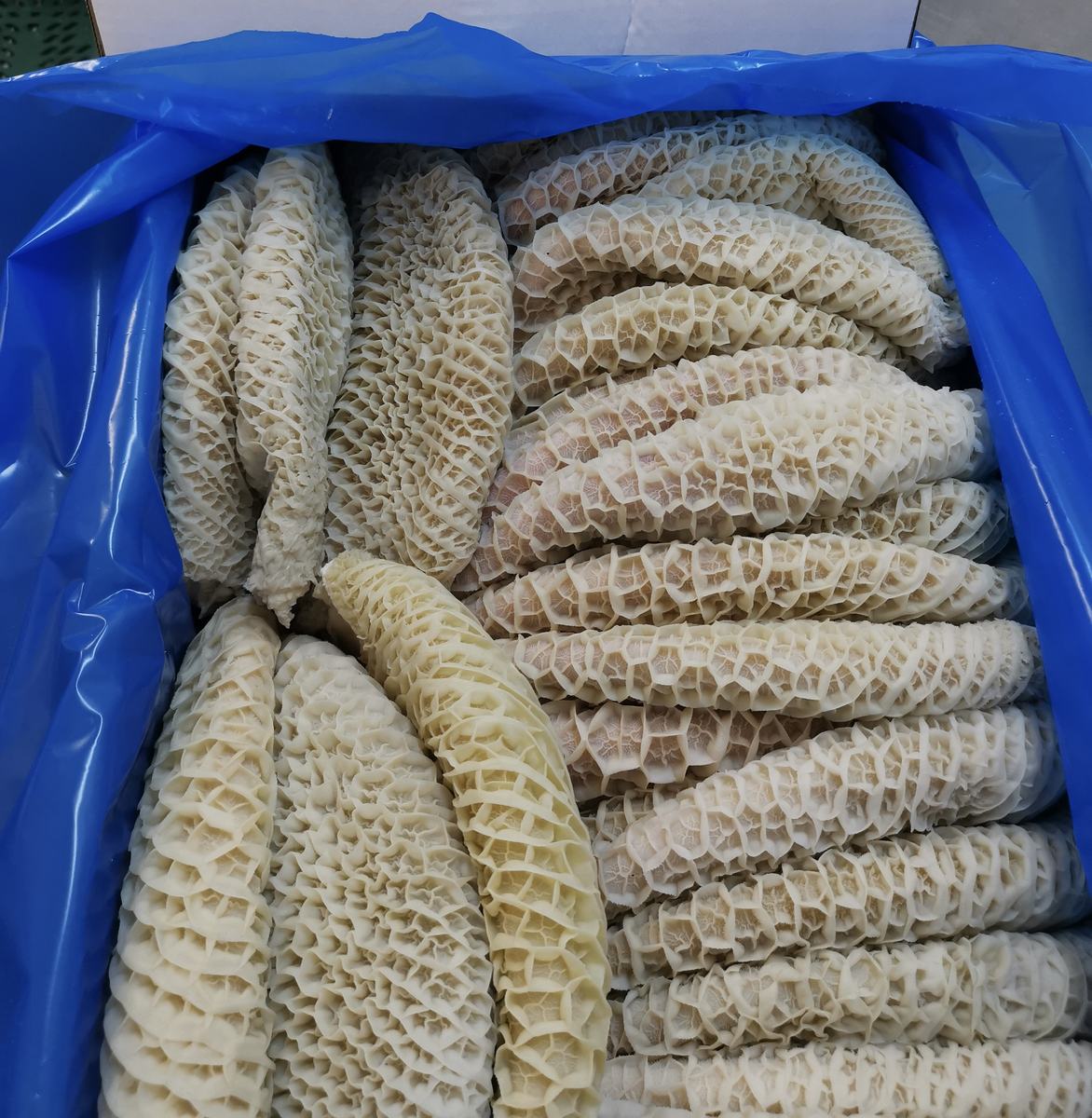 Beef Offals: frozen honeycomb tripe in a blue-lined export carton